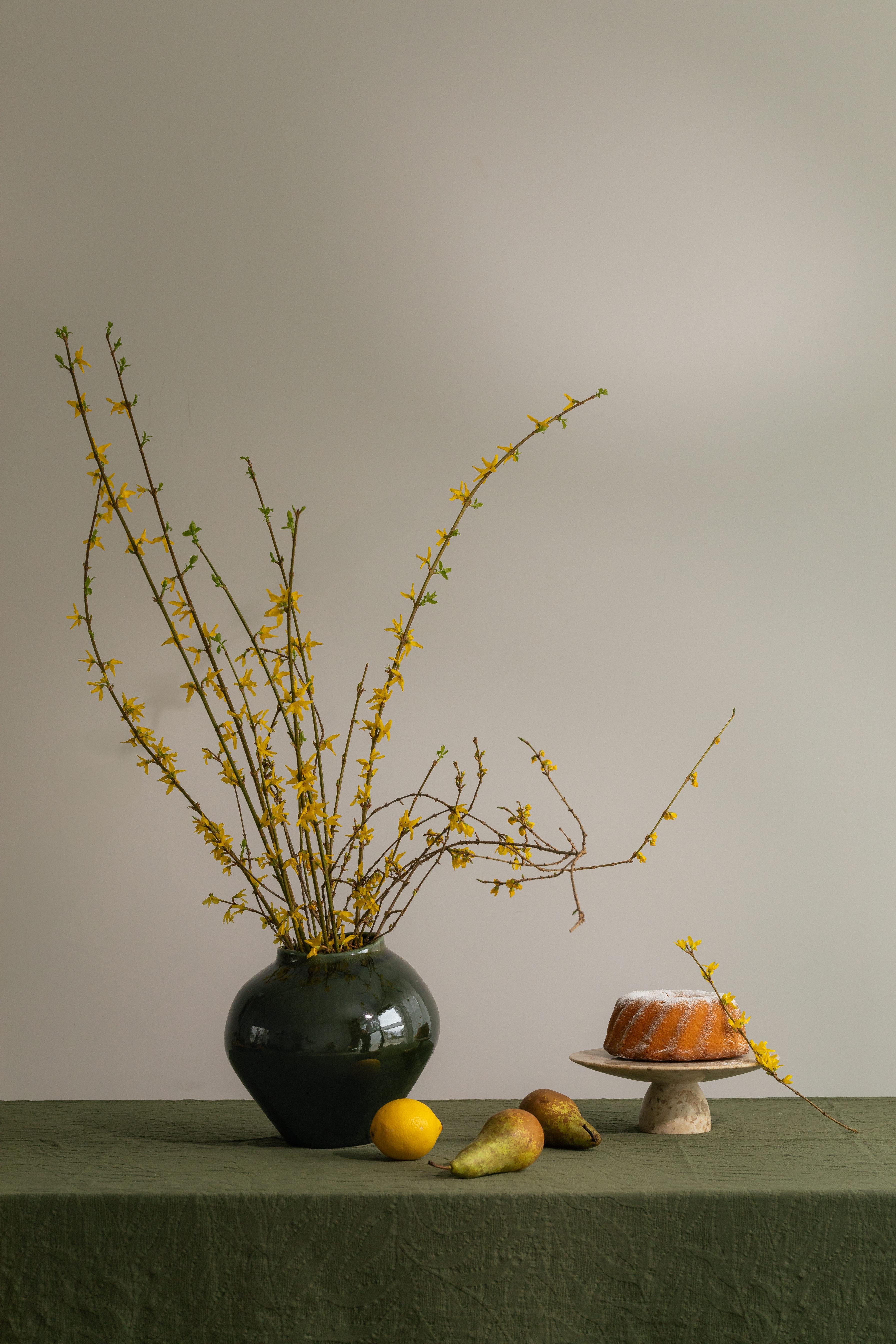 TRANSFORM YOUR SPACE – 50% OFF